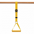 Kip Swing Trainer